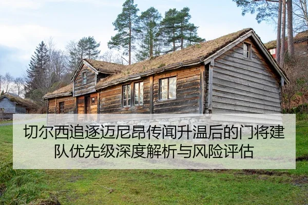 qie-er-xi-zhui-zhu-mai-ni-ang-chuan-wen-sheng-wen-hou-de-men-jiang-jian-dui-you-xian-ji-shen-du-jie-xi-yu-feng-xian-2-678.jpg