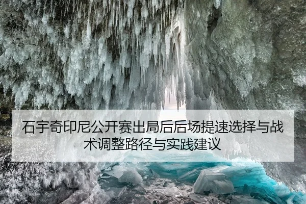 shi-yu-qi-yin-ni-gong-kai-sai-chu-ju-hou-hou-chang-ti-su-xuan-ze-yu-zhan-shu-tiao-zheng-lu-jing-yu-shi-jian-jian-yi-2-576.jpg