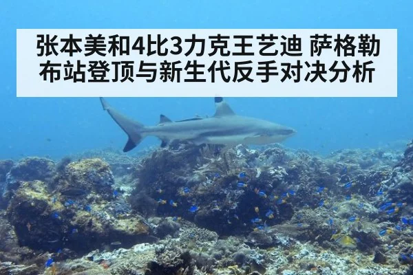 张本美和4比3力克王艺迪 萨格勒布站登顶与新生代反手对决分析